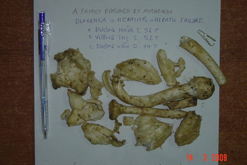 ngo-doc-nam-ca-gia-dinh-9-nguoi-chi-con-1-nguoi-song-sot-4.jpg