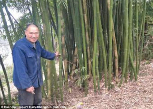 soc voi ly do bo troi con 2 tuoi ngoai nghia trang canh mo ba ngoai 2.jpg