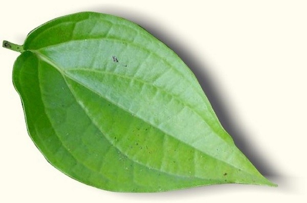 la trau