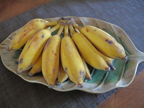 chuoi