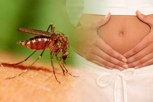 tphcm-co-51-thai-phu-nhiem-virus-zika-19-tre-chao-doi-chua-phat-hien-tat-dau-nho-1.jpg