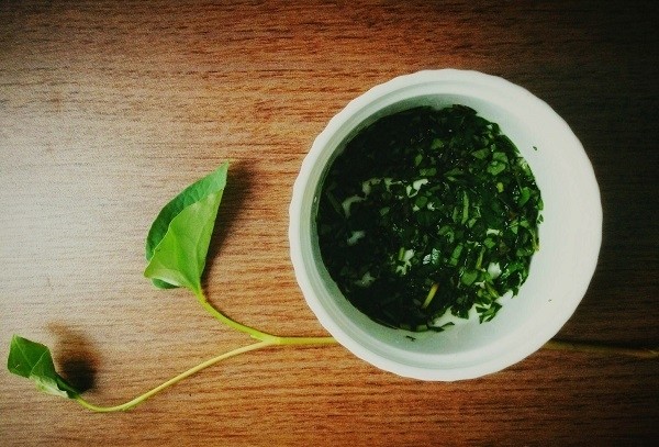 diep-ca-dap-thai-duong