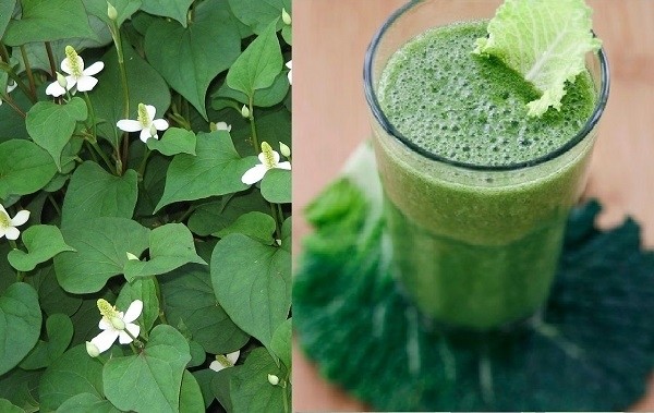 nuoc-rau-diep-ca