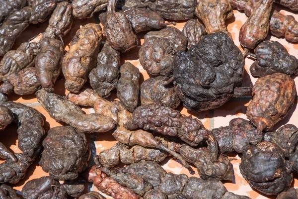 thuoc-moc-toc-nhanh-tu-ha-thu-o