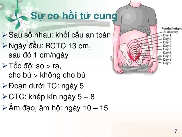 dep-khoe-sau-vuot-can-va-cho-con-bu-10