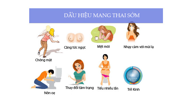 dau hieu mang thai