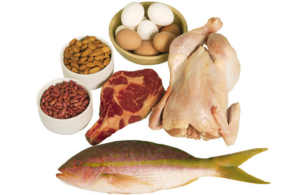 thuc pham chua nhieu protein