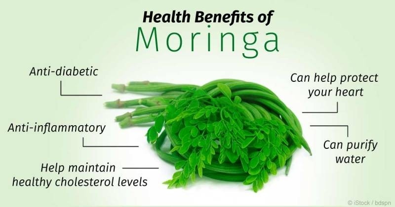 moringa