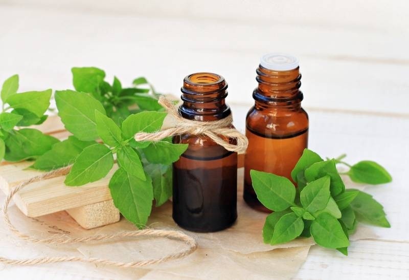 basil essential oil