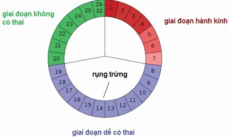 cach-tinh-tuoi-thai4