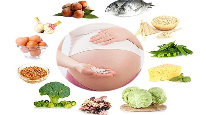 những thực phẩm bà bầu thiếu máu nên ăn