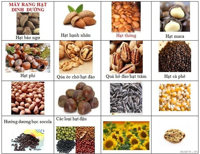 Các loại hạt bổ sung nhiều dưỡng chất cho cơ thể