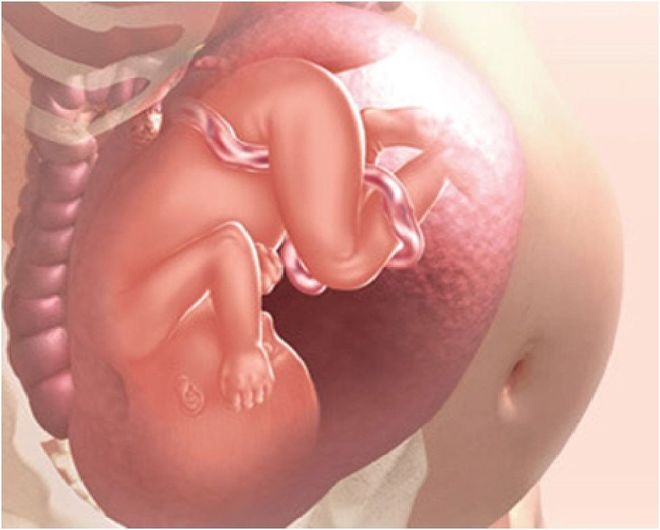 Mẹ cảm nhận rõ ràng các biểu hiện cơ thể của thai nhi