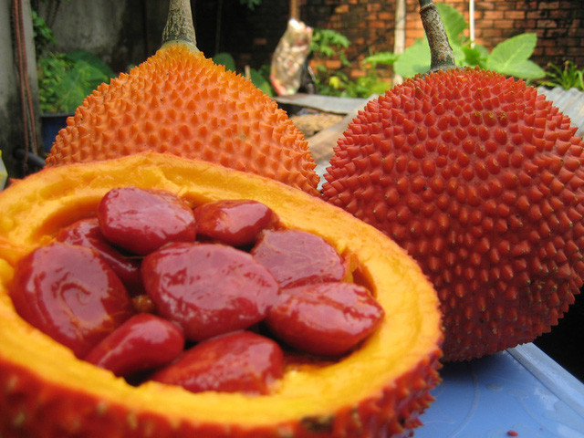cach lam dau gac cho ca nha 11