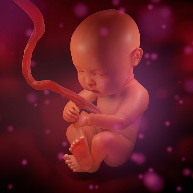 mỗi thai nhi có một trọng lượng cơ thể khác biệt