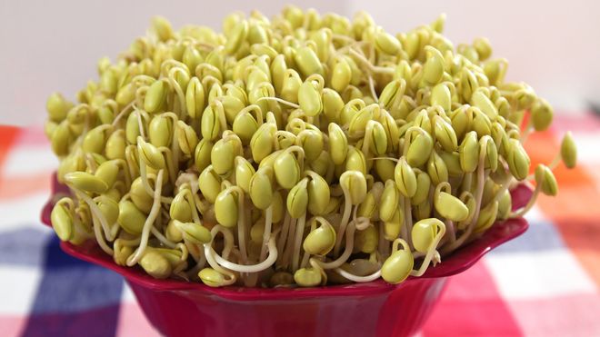 cách làm giá đỗ tương