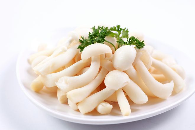 nấm ngọc châm chứa vitamin b5