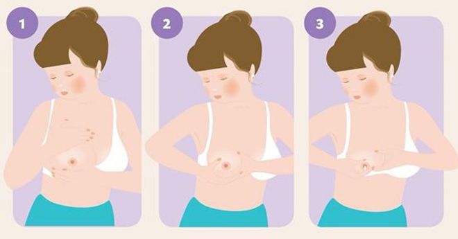 cách vắt sữa