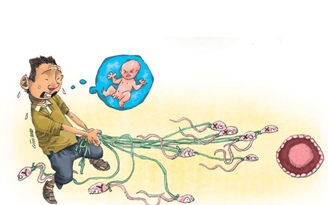 tinh trùng gặp trứng sinh con trai