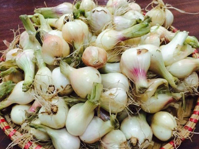 chọn hành có củ không quá to