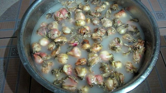 ngâm hành củ cùng nước gạo