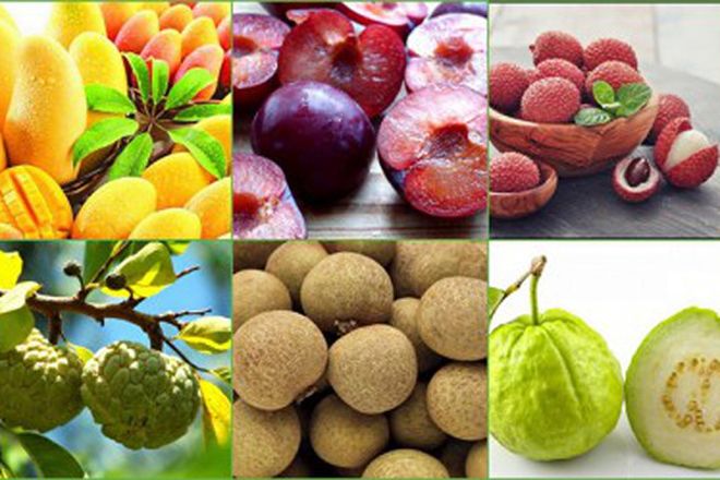 loại quả có tính nóng