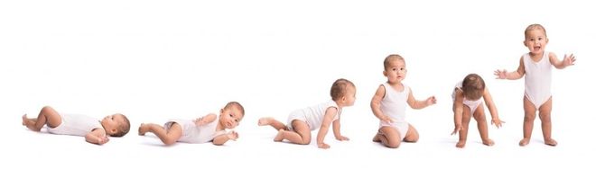 các giai đoạn phát triển của trẻ sơ sinh