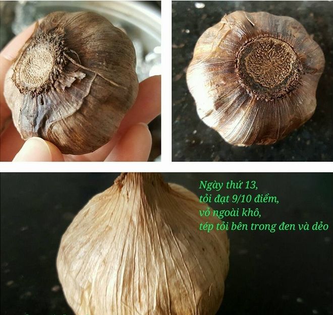 thành phẩm sau 2 tuần ủ tỏi