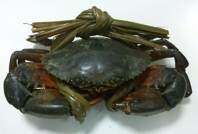 cua biển