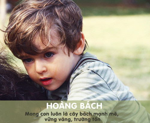 hoàng bách