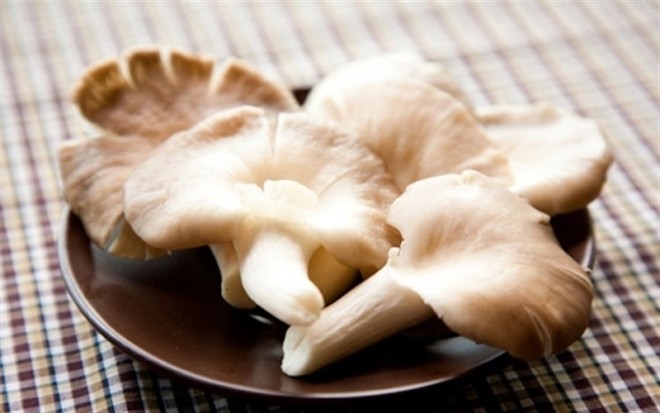 nấm bào ngư rửa sạch