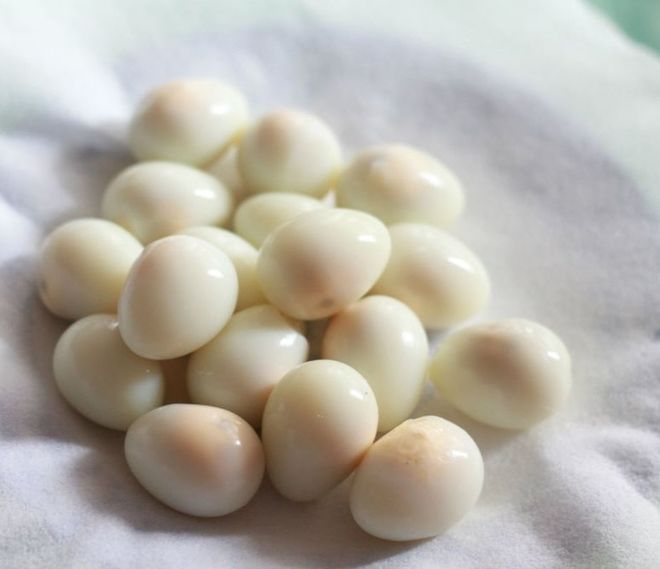 bóc vỏ trứng cút