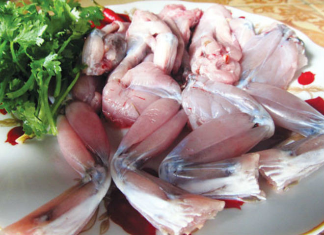 làm thịt ếch
