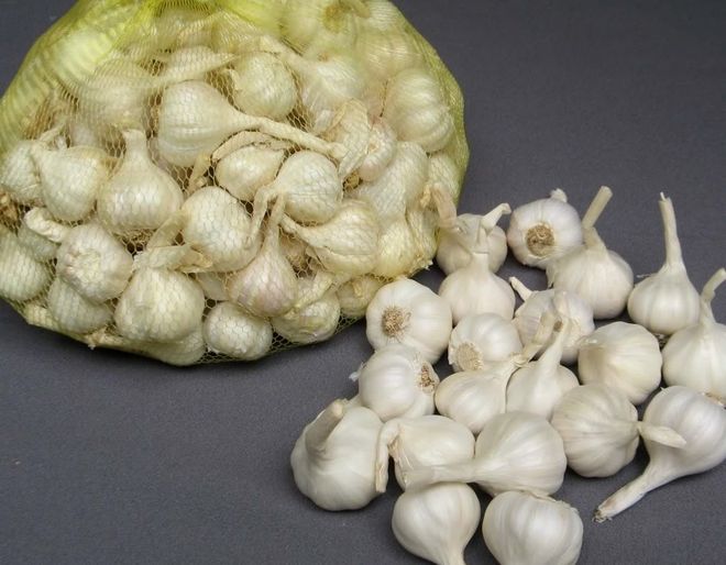 tỏi làm sạch