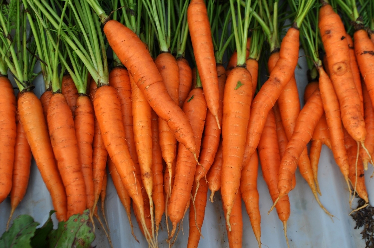 vitamin a