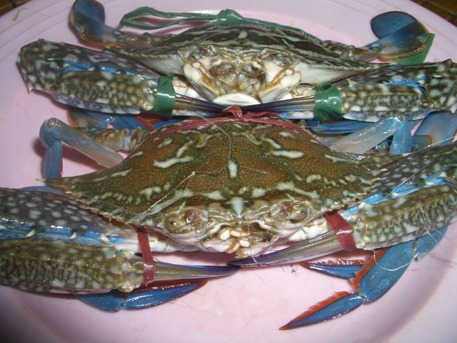 sơ chế ghẹ