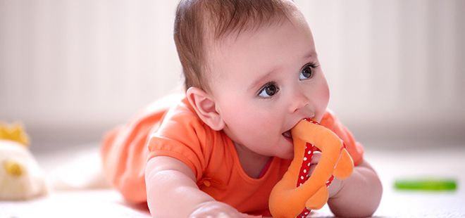bé ngậm đồ chơi bằng bông