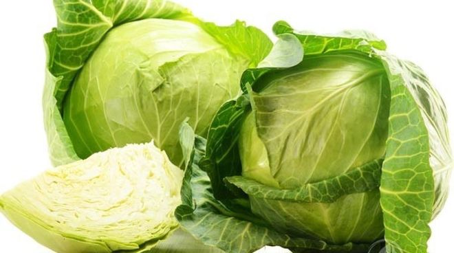 lợi ích ăn bắp cải