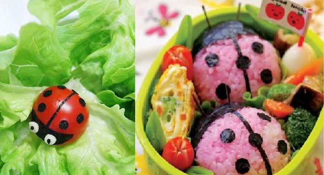 bento bọ dừa