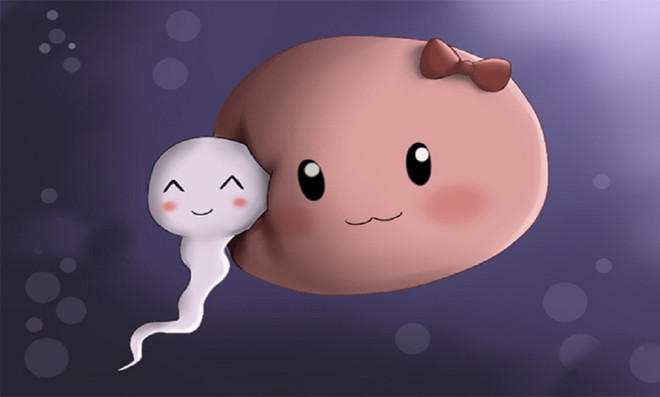 duy trì ổn định chu kỳ rụng trứng