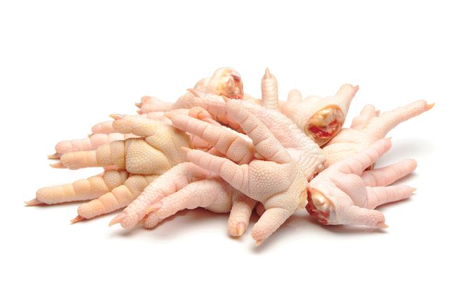 rửa sạch chân gà