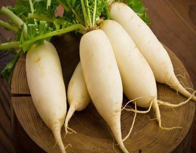 củ cải tươi