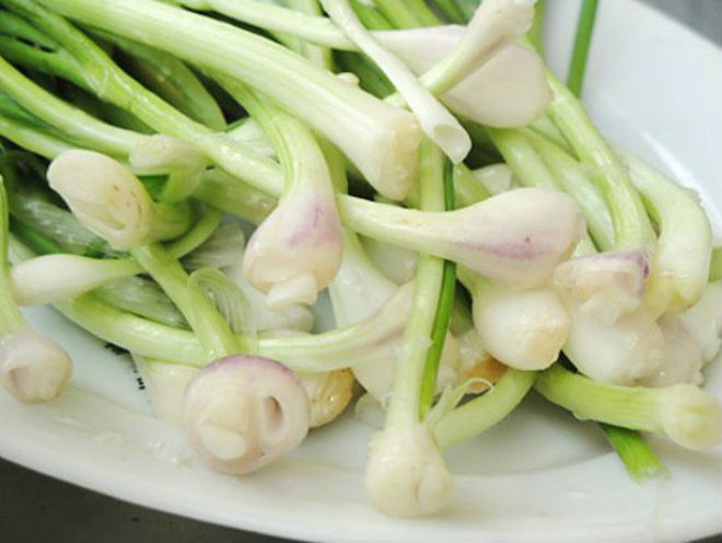 hành lá