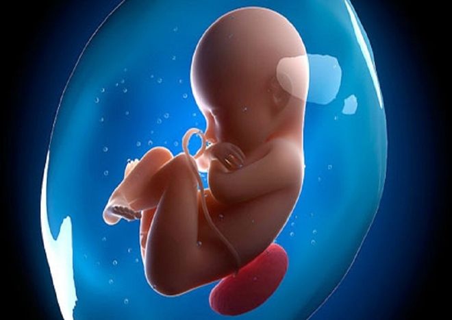 siêu âm để biết giới tính thai nhi