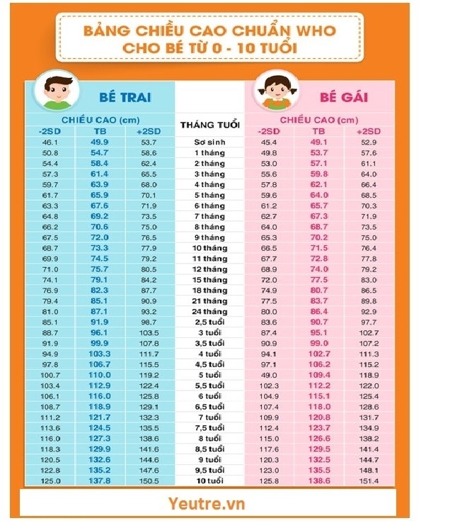 Bảng chiều cao cân nặng lý tưởng