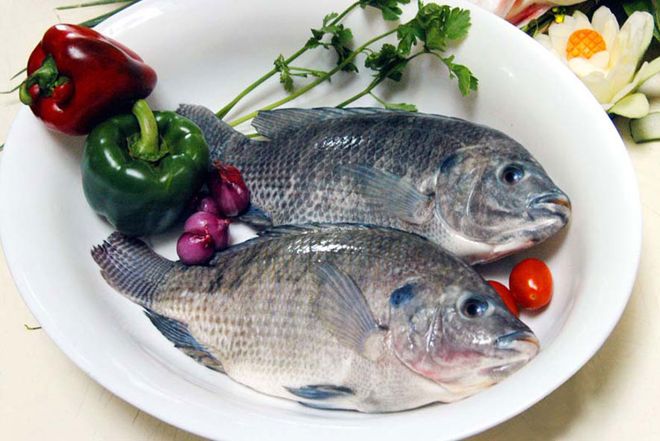 nguyên liệu hấp cá rô phi với muối