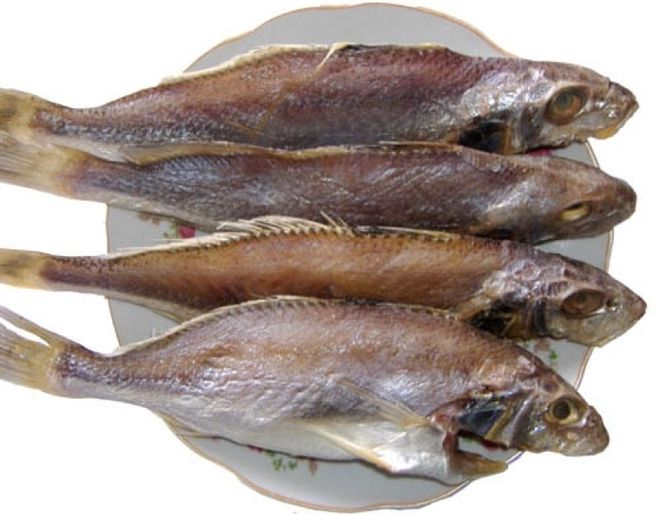 cá đù sóc một nắng