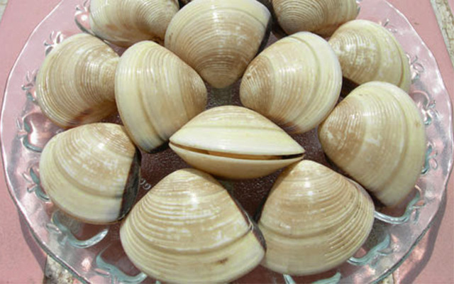 ngao