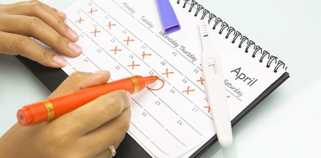 tay cầm bút đánh dấu lịch và que thủ rụng trứng