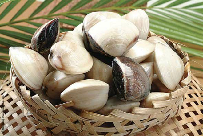 nguyên liệu hấp ngao với sả gừng
